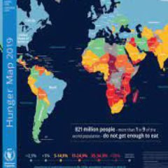 Hunger Map (Sistema global de monitoramento da fome do PMA)
