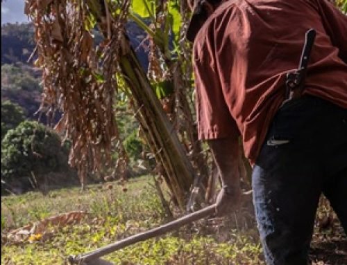 Pandemia aumenta insegurança alimentar de quilombolas e indígenas