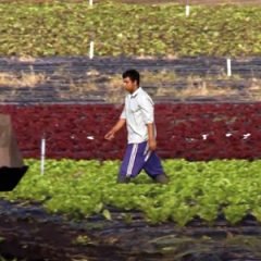 Vídeo: Agricultura familiar e o combate à fome no Brasil | Tecnologia em Perspectiva