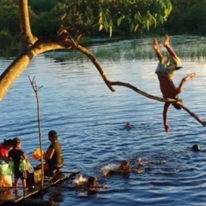 Como desmatamento pode aumentar anemia em crianças na Amazônia